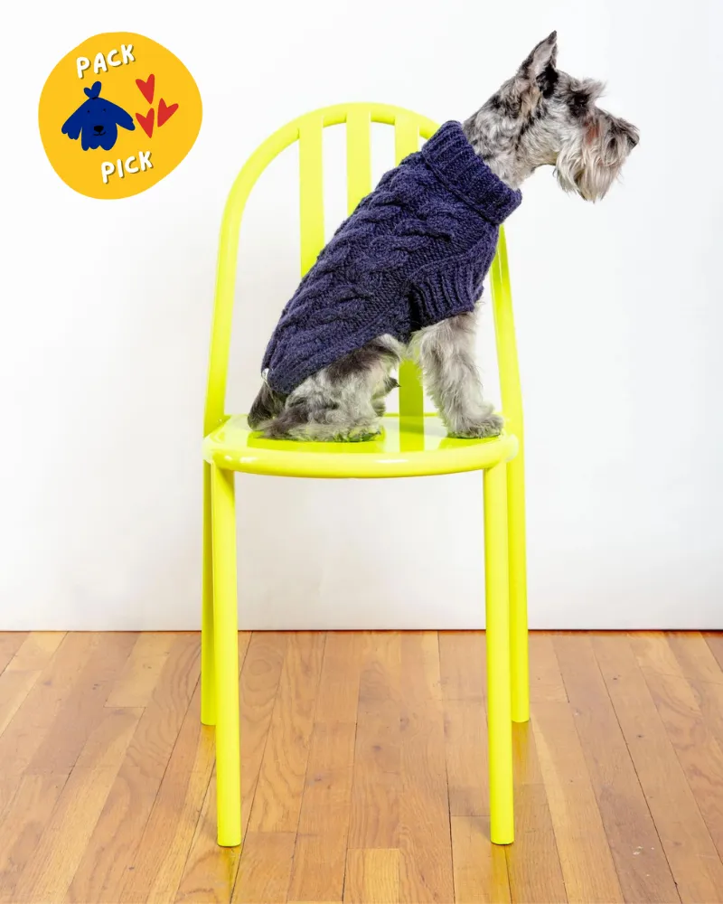 Downtown Roll Neck Dog Sweater in Navy